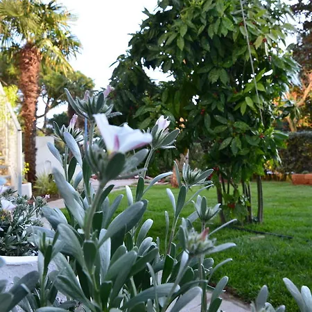 Otel Mirage Milano Marittima