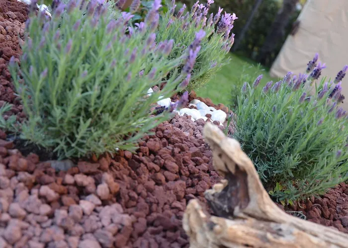 מלון Mirage מילאנו מריטימה